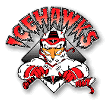 Adirondack Ice Hawks